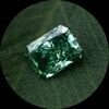 emeraldcloset_